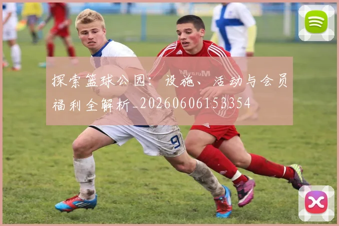 探索篮球公园：设施、活动与会员福利全解析_20260606153354