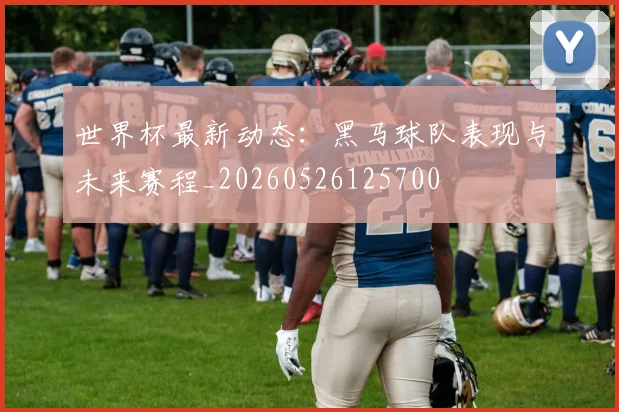 世界杯最新动态：黑马球队表现与未来赛程_20260526125700