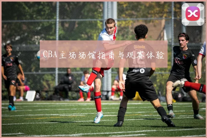 CBA主场场馆指南与观赛体验